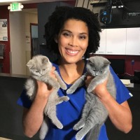 Evolution Veterinary Specialists, Inc. Employee Geri Bakaar's profile photo