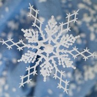 Darwin.md Employee Olga Marjineanu's profile photo