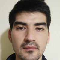 Luis Donoso Bravo Email
