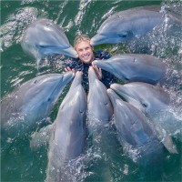 Island Dolphin Care Employee Luke Bullen's profile photo