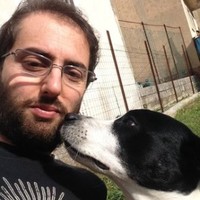 Digivents Employee Fabio Napodano's profile photo