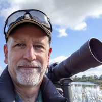 Dennis Rex Email & Phone Number