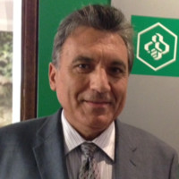 Desjardins Financial Security Independent Network Employee Orlando Ali's profile photo