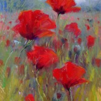 Shaun Mcgi's profile photo