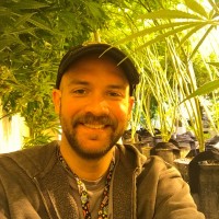 CannaContent Employee Jack Callahan's profile photo
