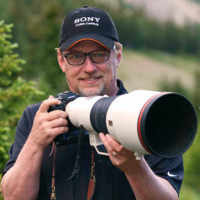 Stuart Dryden Email & Phone Number