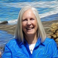 Self Employed Employee Sandy Walton's profile photo