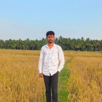 INDIANMARK Employee Nethaji Sundarraju's profile photo