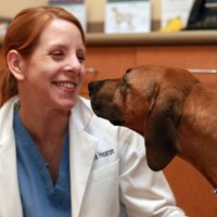 Animal Specialty Center Employee Kendra Hearon's profile photo