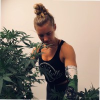 Janelle Laplante