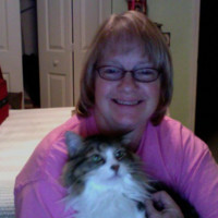 Jeanne Trezise Email & Phone Number