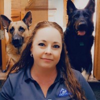 Alphia Employee Mandy Layne's profile photo
