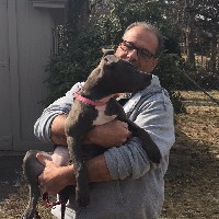 Daniel Dinoia Email & Phone Number