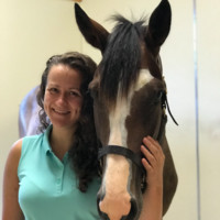 Rhinebeck Equine Employee Marjorie Bruce's profile photo