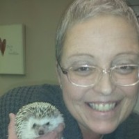 Colonial Management Group, LP Employee Sharon Conley's profile photo