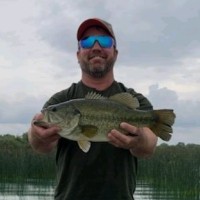 Robert Walsh
