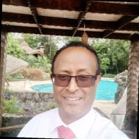 Yared Haile-Meskel