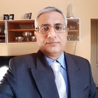 Wizard Lizard LLC Employee Alireza Hashemian's profile photo