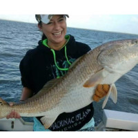 Elcometer USA Employee Tara Christie's profile photo