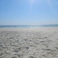 NEI General Contracting Employee Glenn McGrath's profile photo