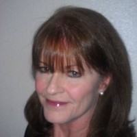 Dale City Animal Hospital Employee Nancy Callaway's profile photo
