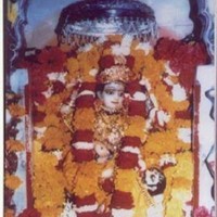 Kapil Sharma Email & Phone Number