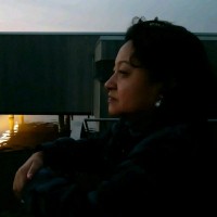 Dienst Gezondheid & Jeugd ZHZ Employee Sharon Petersen's profile photo