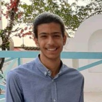 National Organization for Development of Exceptional Talents (Sampad) Employee Shahrad Alikhani's profile photo