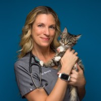 La Cumbre Animal Hospital Employee Beverly Holmes's profile photo
