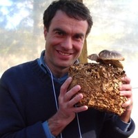 Andrii Gryganskyi Email & Phone Number