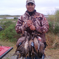 Michael Semien Email & Phone Number