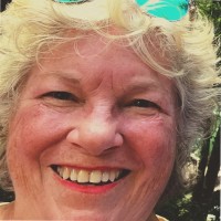 Palm Harbor Niners Woman Golf Association Employee Laurie Mitchell's profile photo