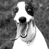 Tripadvisor Employee Gwyn Fisher's profile photo