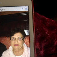 OnSite Wellness, LLC Employee Beverly Young's profile photo