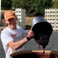 VinoShipper Employee Arthur O'Connor's profile photo