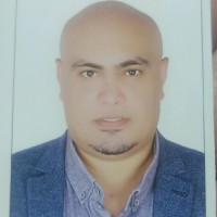 Ahmed Mahfouz Email