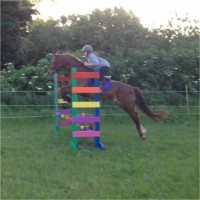 Katie Smith's profile photo