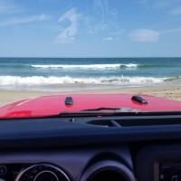 Dale Ford Email & Phone Number