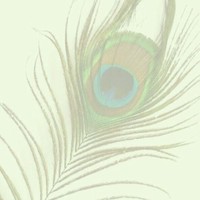 owner Employee Ieglo Developers's profile photo