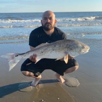 Baldemar Guerra Email & Phone Number