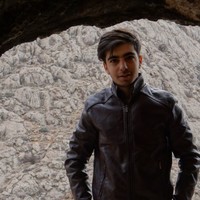 Project Control Employee Amir.h Falahati's profile photo