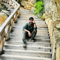 Mohammad Aquib Email