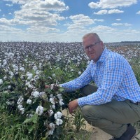 Meister Media Worldwide Employee Rick Welder's profile photo