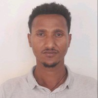 Melese Zergaw Email