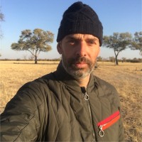 WGSN Employee David Davies's profile photo