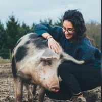 American School of The Hague Employee Maria Indjeian Díaz's profile photo