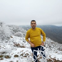 Windows Phone Developer Community Employee Saeed Farzi's profile photo