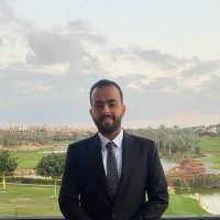 Hossam Wafik Email