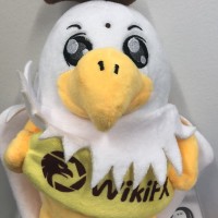 WikiFX Employee Li Amanda's profile photo