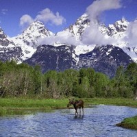 Hobby Lobby Employee Dawn Justice-Garcia's profile photo